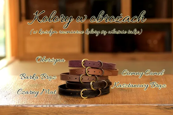 Obroże skórzane